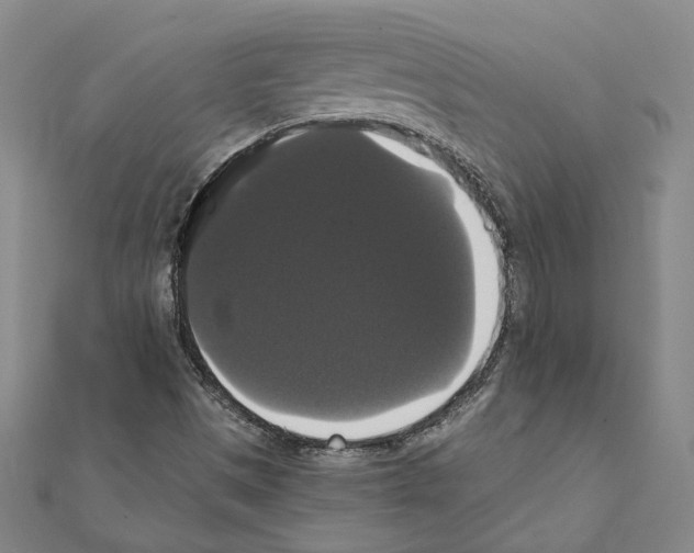 X0000111441497200908241132