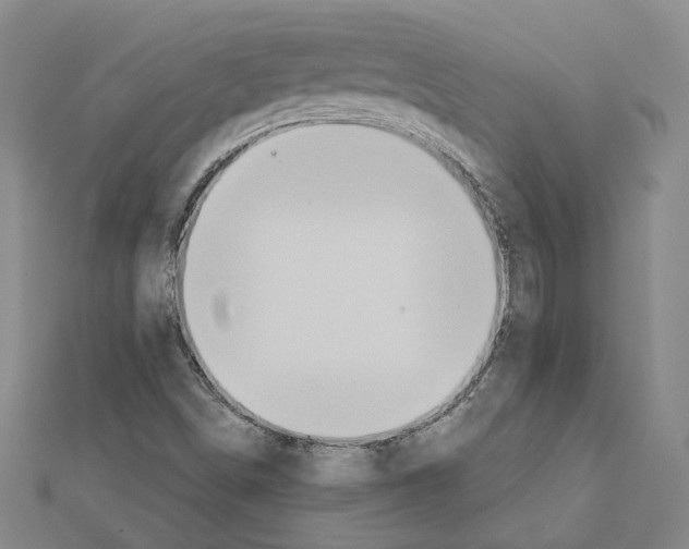 X0000111441498200908241132