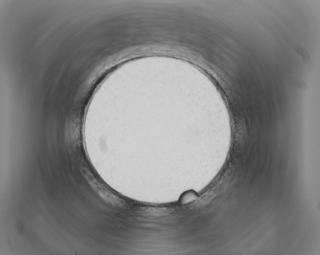 X0000111441499200908241132