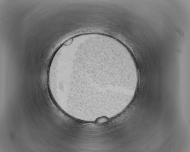 X0000111441500200908241132