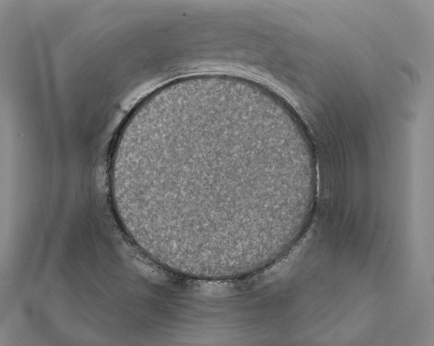 X0000111441501200908241132