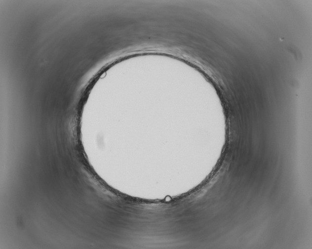 X0000111441502200908241132