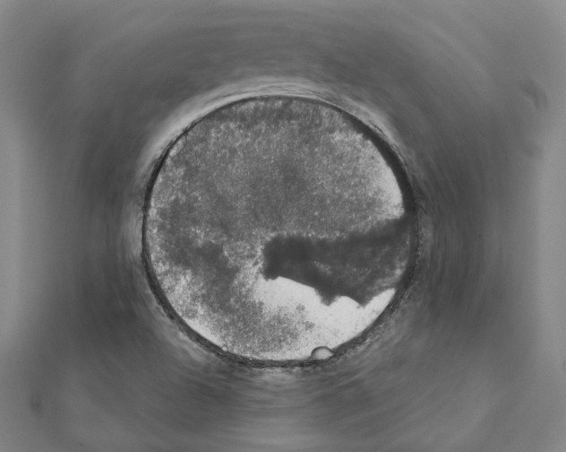 X0000111441504200908241132