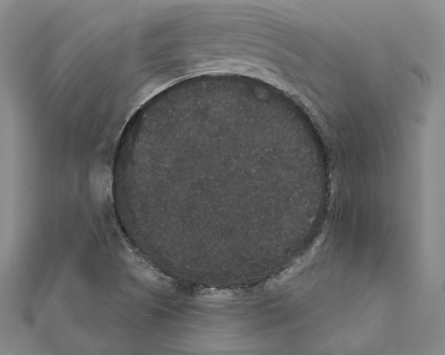 X0000111441505200908241132