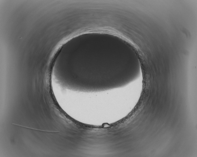 X0000111441506200908241132