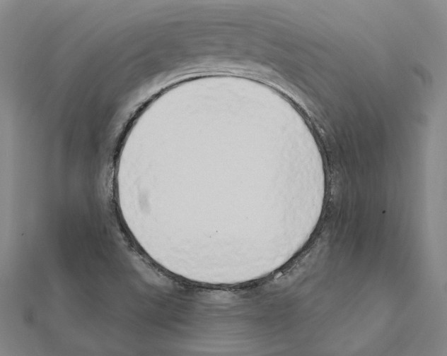 X0000111441507200908241132