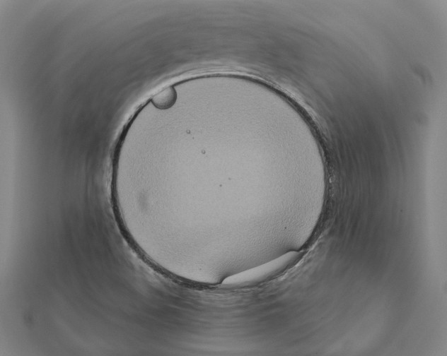 X0000111441508200908241132