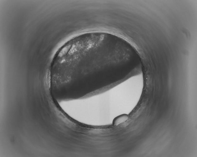 X0000111441510200908241132