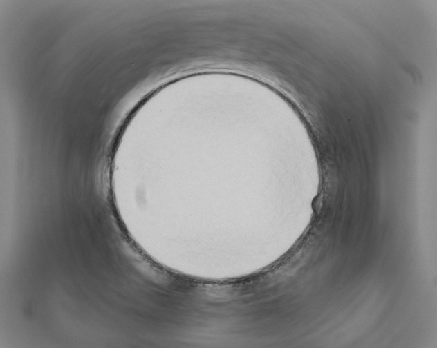 X0000111441511200908241132