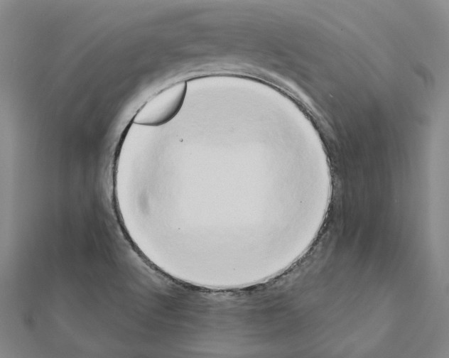 X0000111441512200908241132