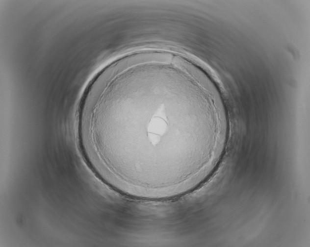 X0000111441514200908241132