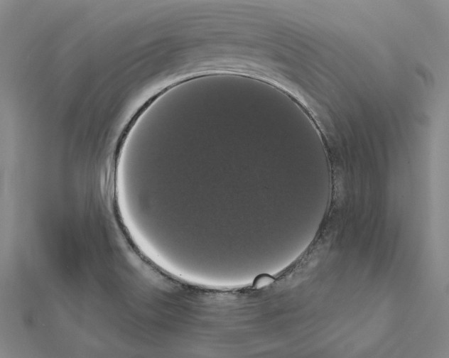 X0000111441515200908241132