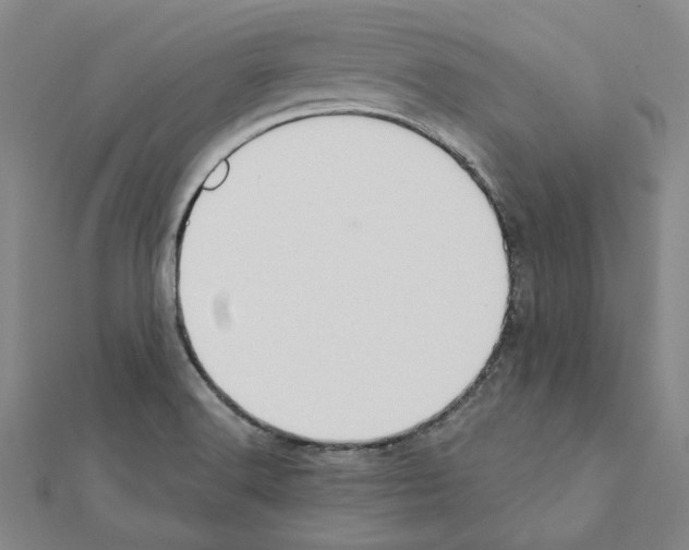 X0000111441516200908241132