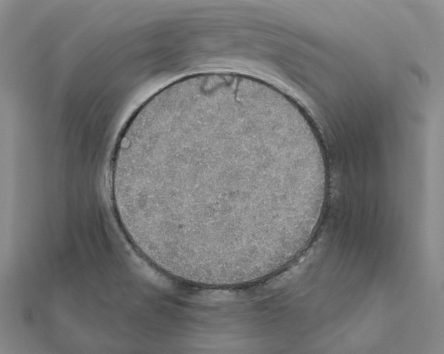 X0000111441517200908241132