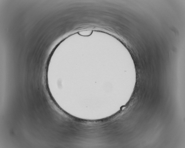 X0000111441518200908241132