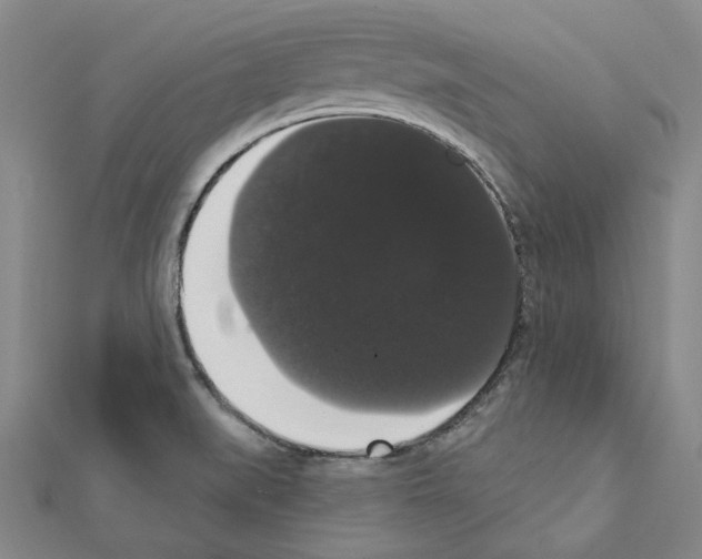 X0000111441519200908241132