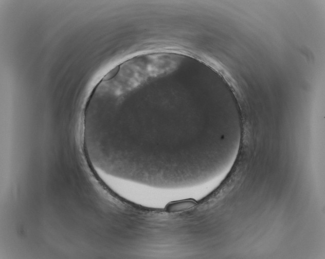 X0000111441520200908241132