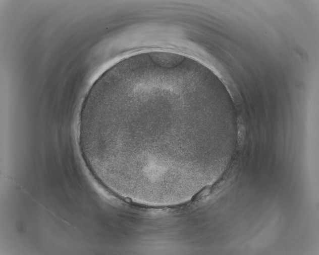 X0000111441523200908241132