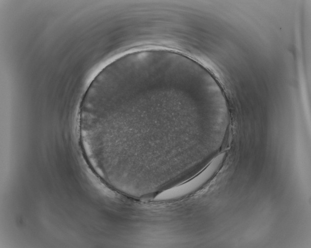 X0000111441524200908241132