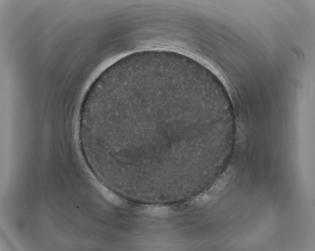 X0000111441525200908241132