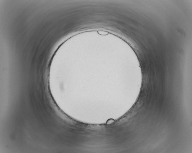 X0000111441526200908241132