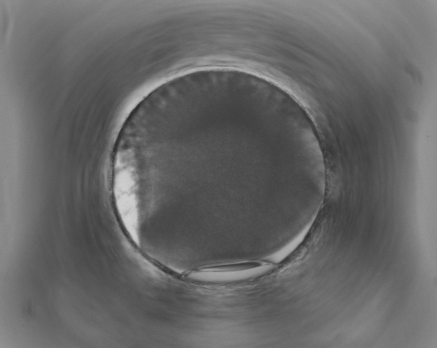 X0000111441527200908241132