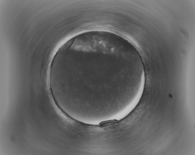 X0000111441528200908241132