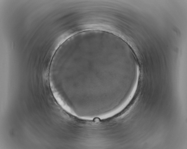 X0000111441529200908241132