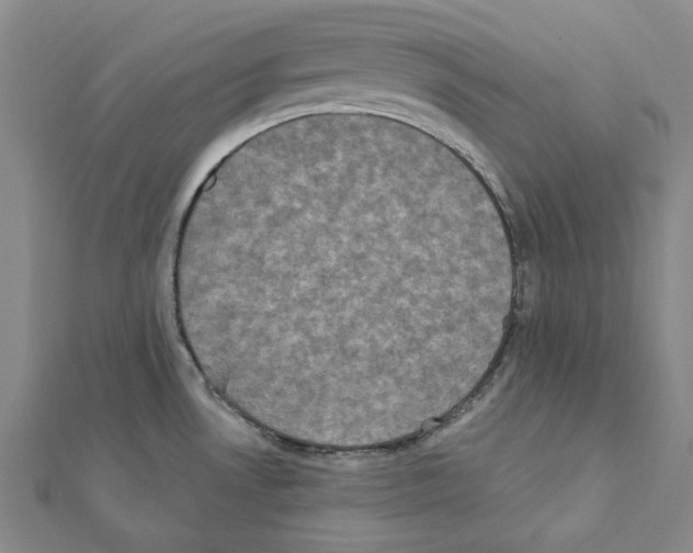 X0000111441530200908241132