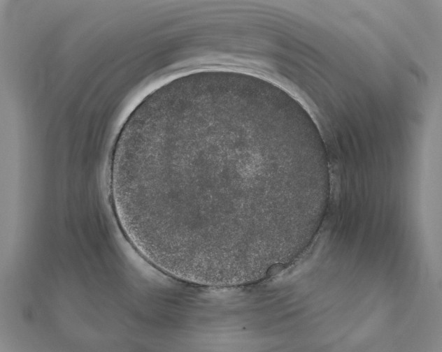 X0000111441531200908241132