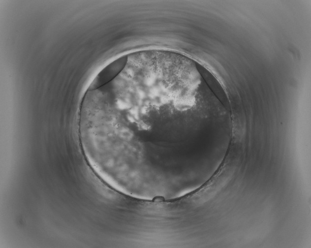 X0000111441532200908241132