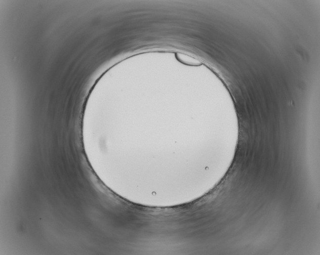 X0000111441534200908241132