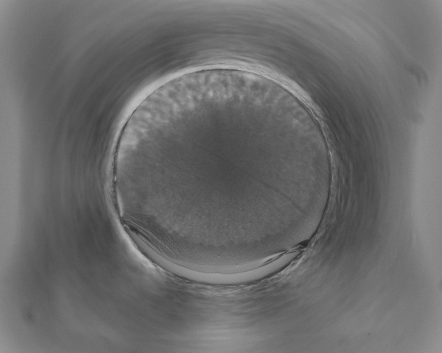 X0000111441536200908241132