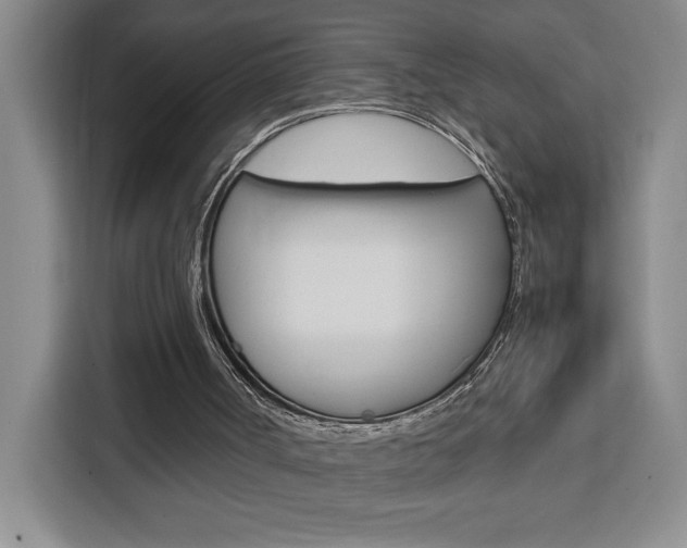 X0000111450002200907131050