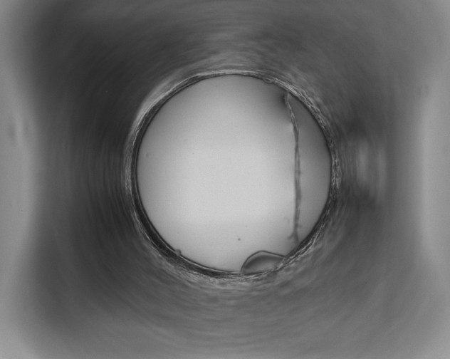 X0000111450004200907131050