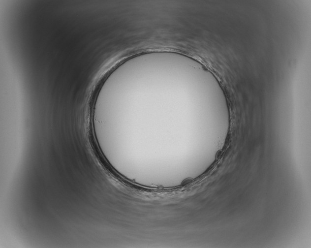 X0000111450005200907131050
