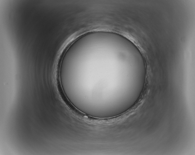 X0000111450007200907131050