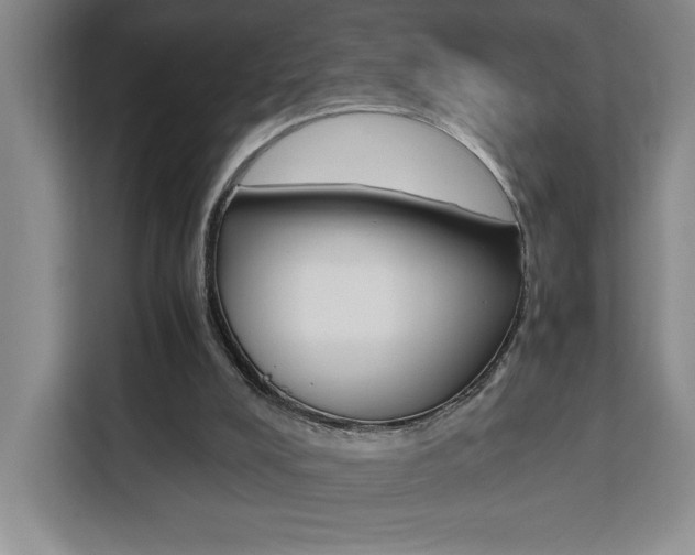 X0000111450008200907131050