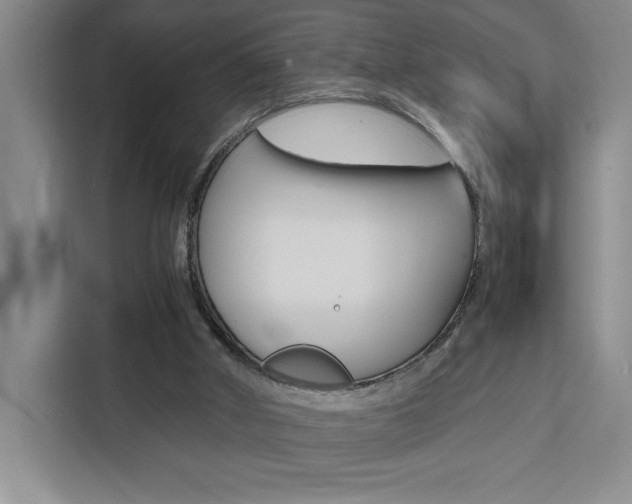 X0000111450010200907131050
