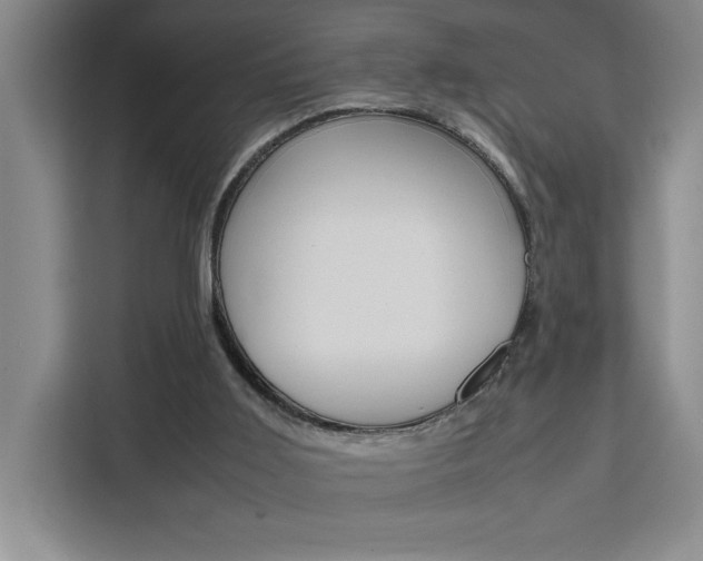 X0000111450011200907131050