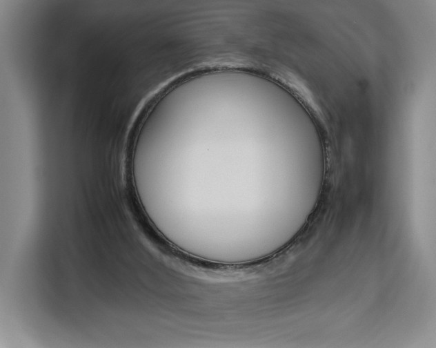 X0000111450012200907131050