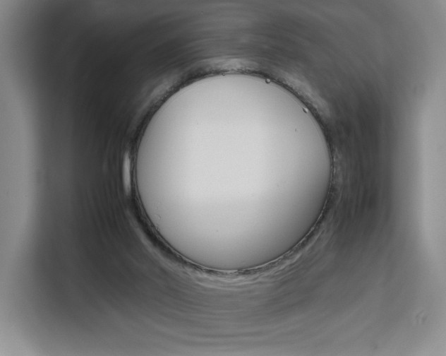 X0000111450014200907131050
