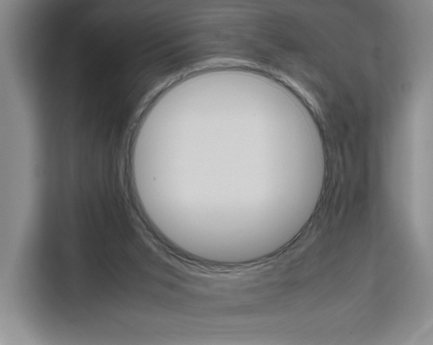 X0000111450015200907131050