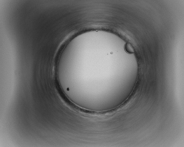 X0000111450016200907131050