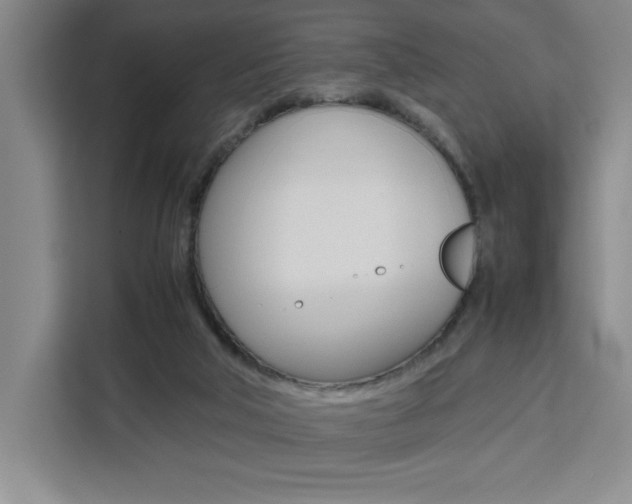 X0000111450018200907131050