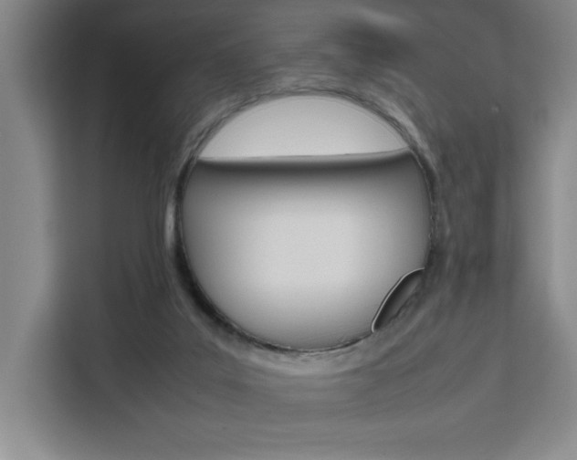 X0000111450019200907131050