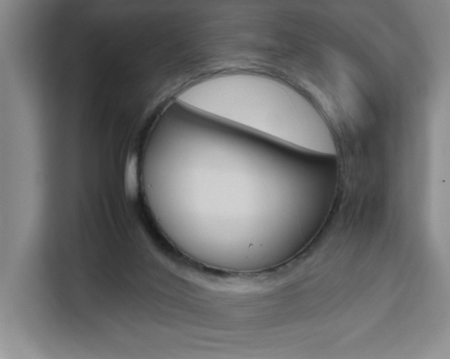 X0000111450020200907131050
