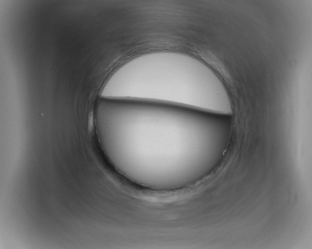 X0000111450021200907131050