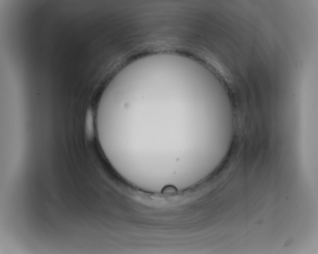 X0000111450022200907131050