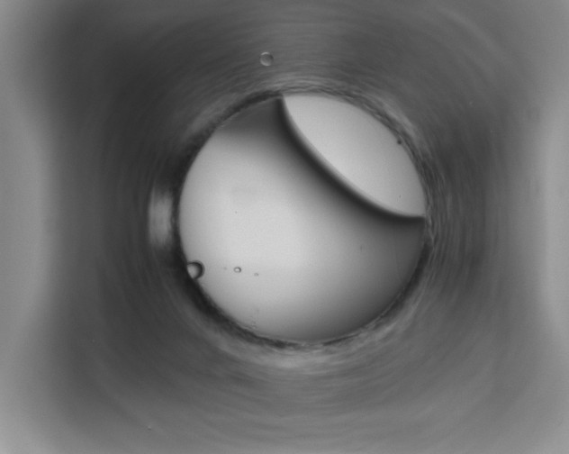 X0000111450024200907131050